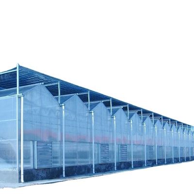 3.8m-9.8m Ridge Height Glass Solar Greenhouse for Customer Requirements