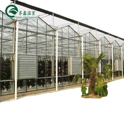 3.8m-9.8m Ridge Height Glass Solar Greenhouse for Customer Requirements
